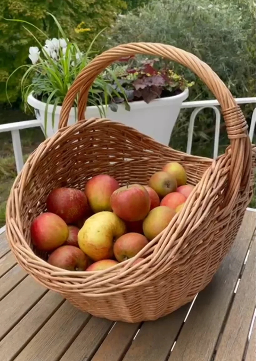 Äpfel
