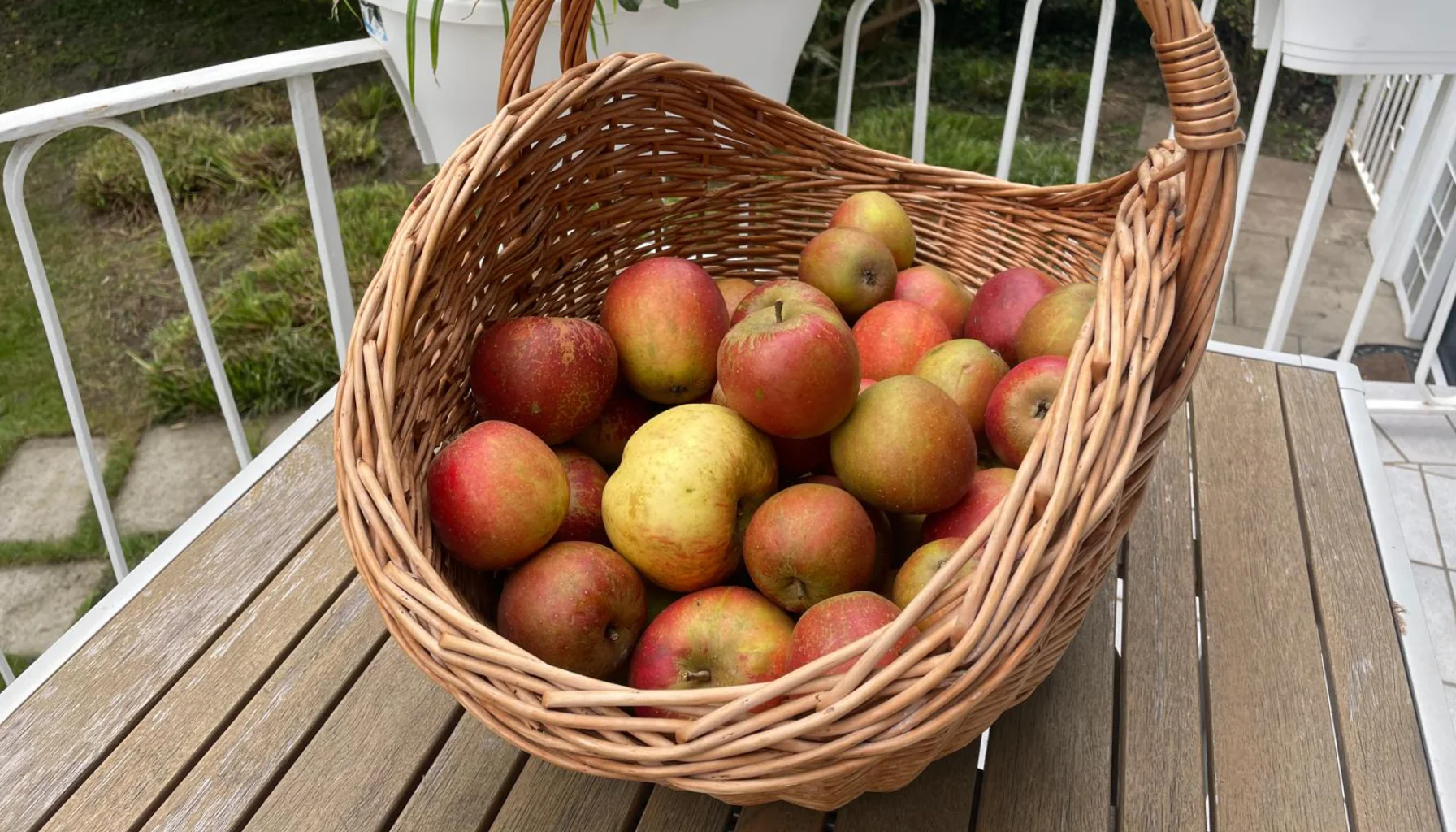 Äpfel